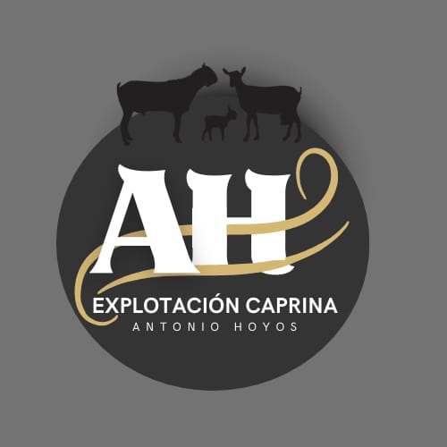 Antonio Hoyos