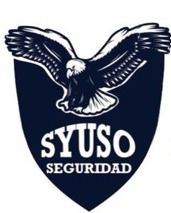 Ayuso Seguridad